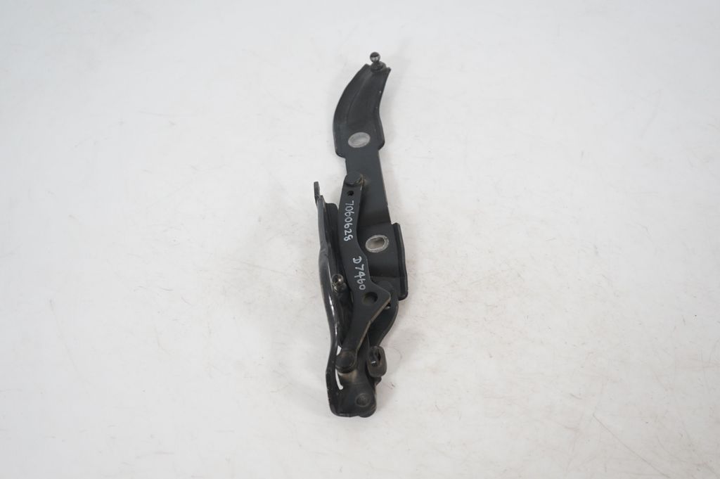 Tailgate/trunk/boot hinge (2)