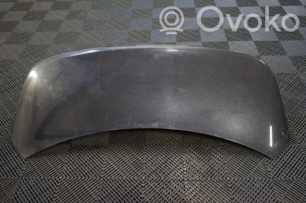 Tailgate/trunk/boot lid (3)