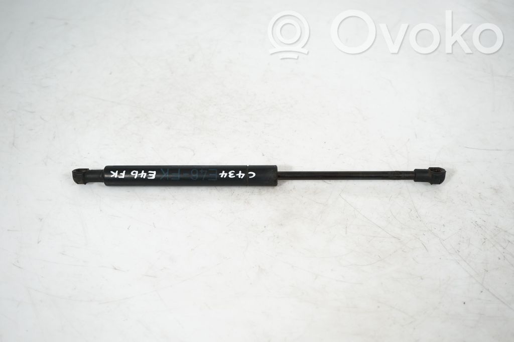 Front bonnet/hood damper/strut (3)