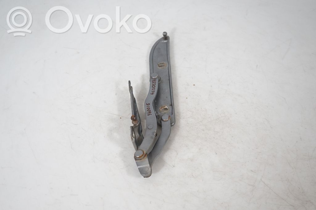 Tailgate/trunk/boot hinge (2)