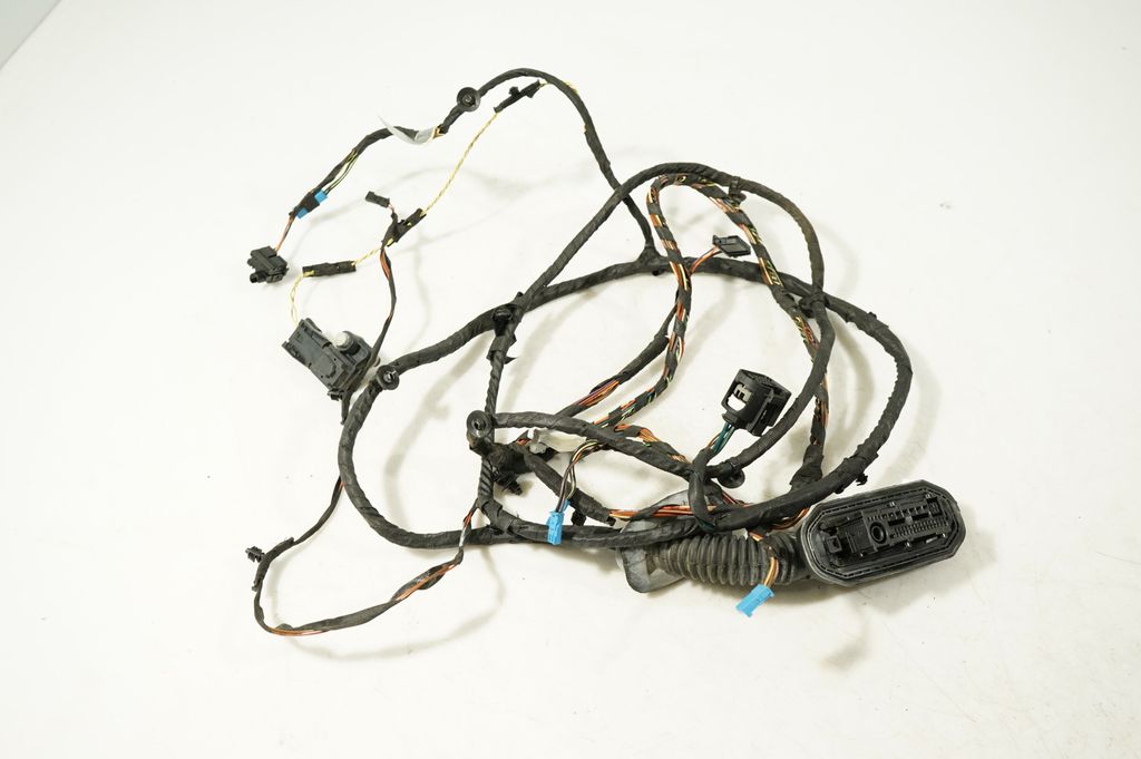 Front door wiring loom
