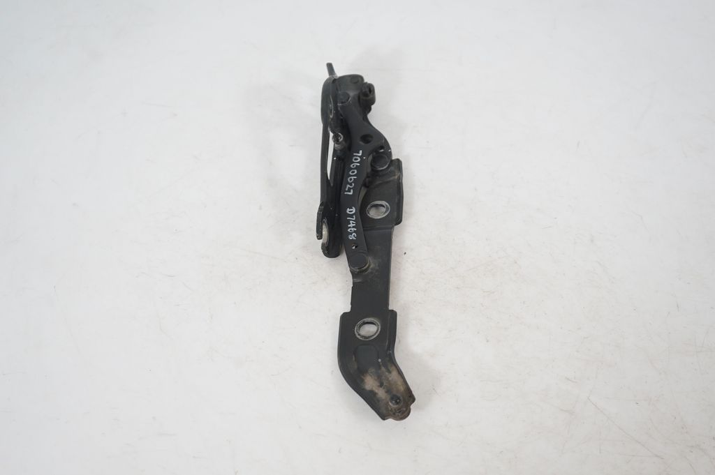 Tailgate/trunk/boot hinge (2)