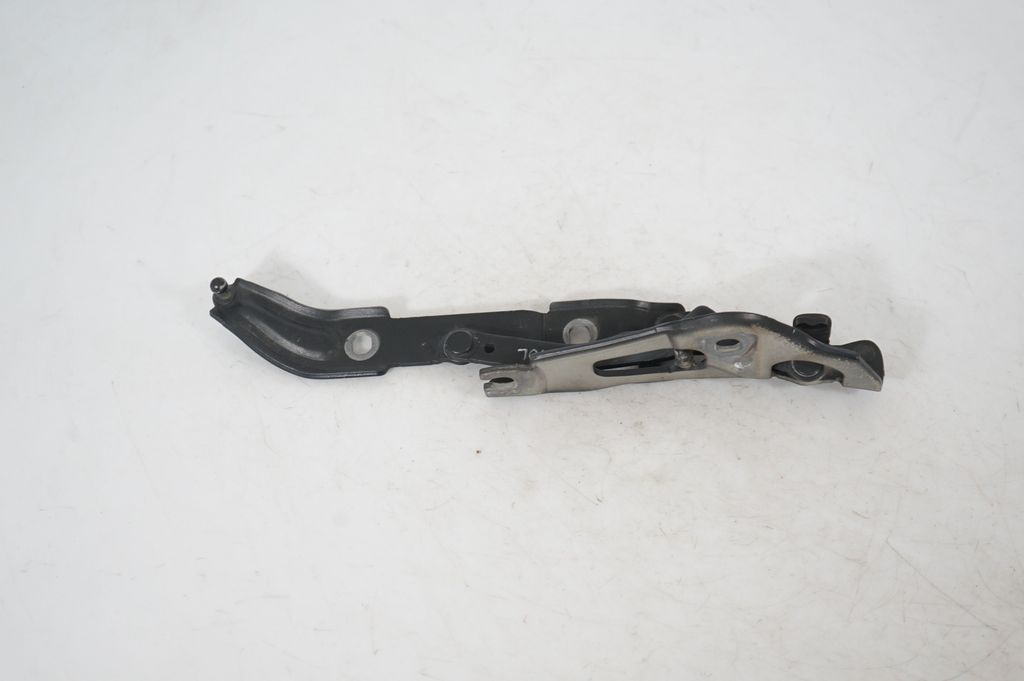 Tailgate/trunk strut/damper