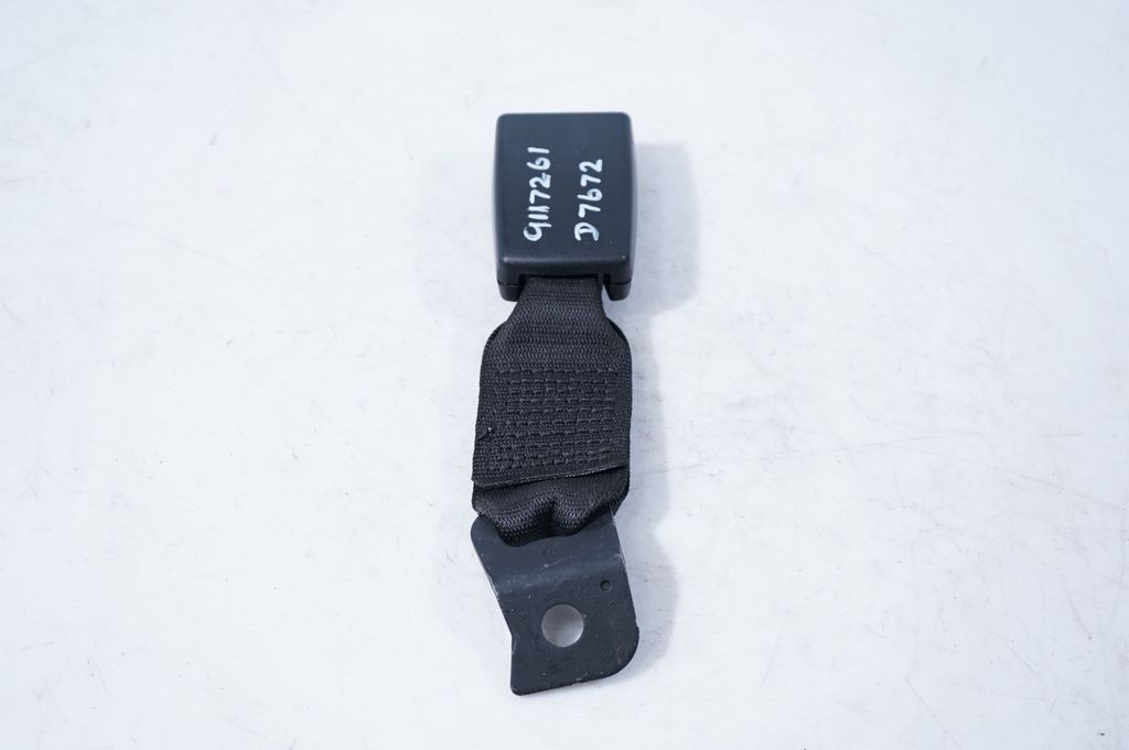 Rear seatbelt buckle (4)