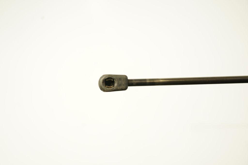 Tailgate/trunk strut/damper (6)