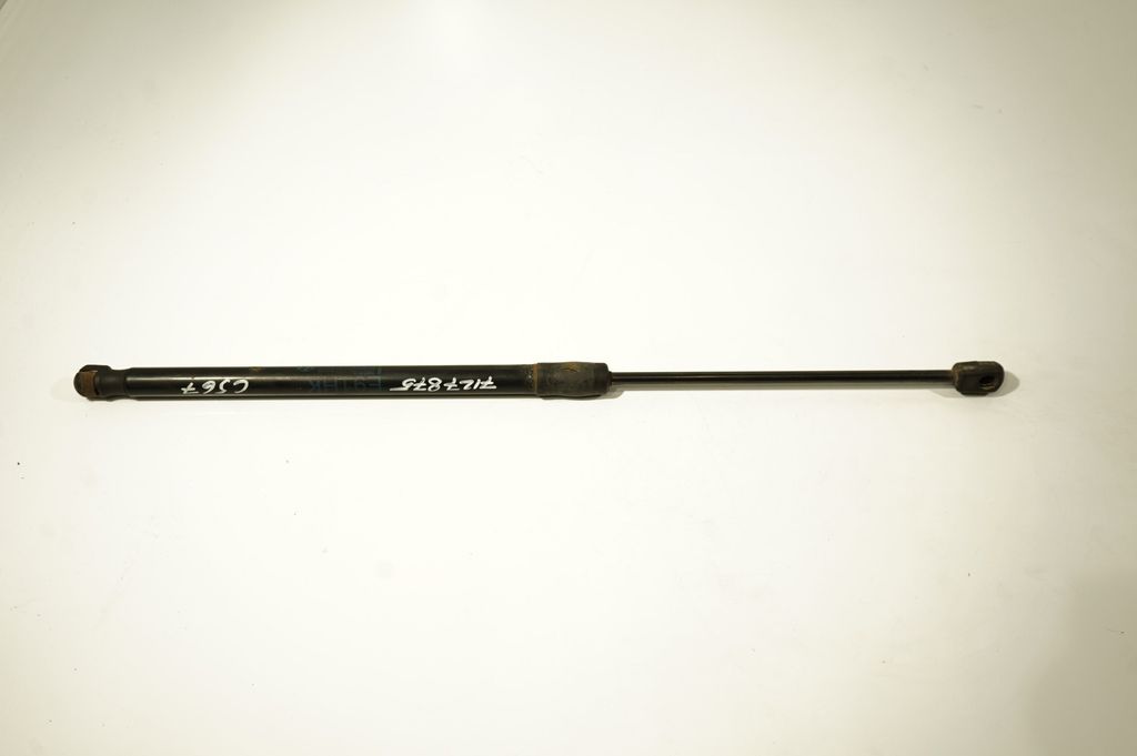 Tailgate/trunk strut/damper (3)