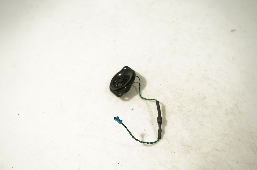 Front door speaker (2)