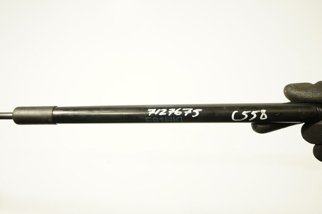 Front bonnet/hood damper/strut (8)