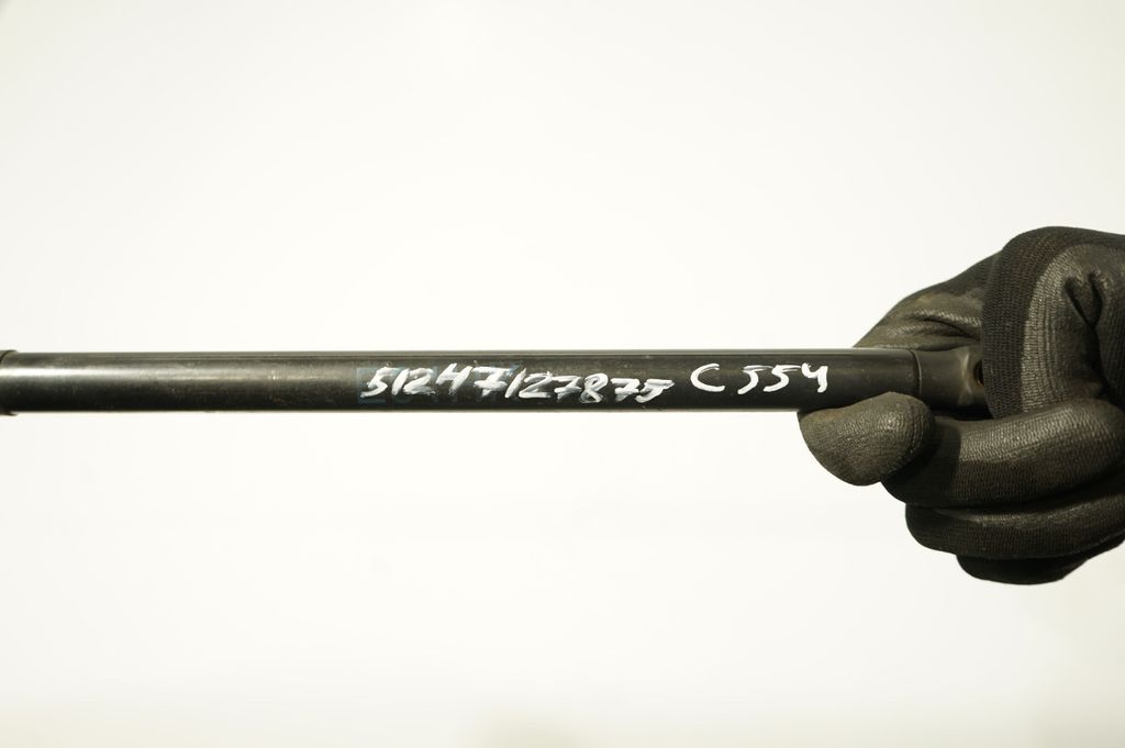 Tailgate/trunk strut/damper (8)