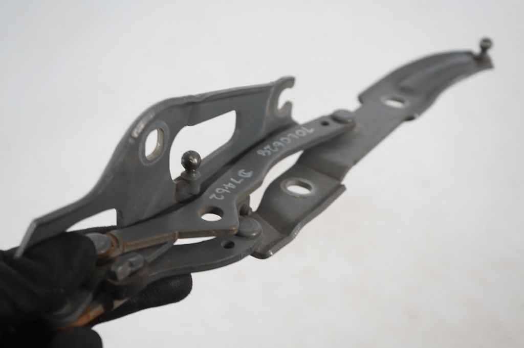 Tailgate/trunk/boot hinge (6)