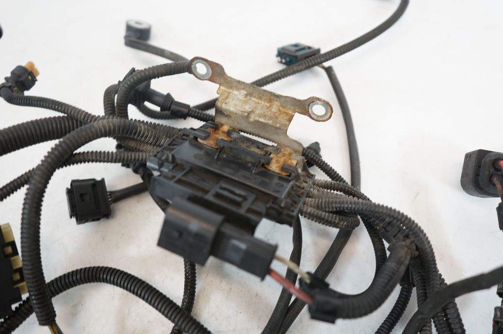 Engine installation wiring loom (6)