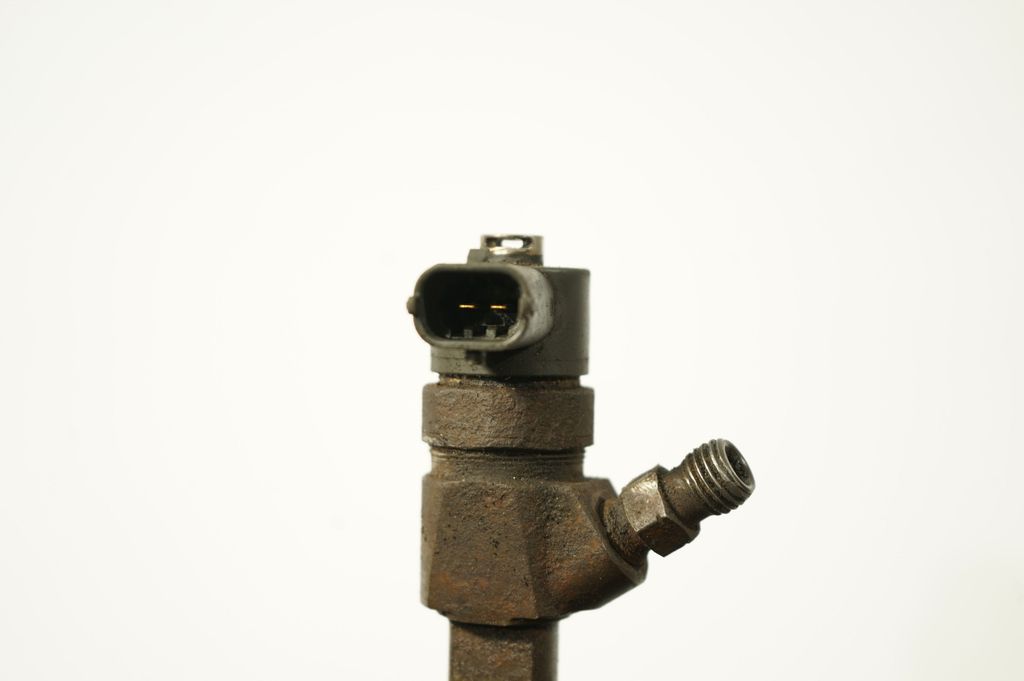 Fuel injector (6)
