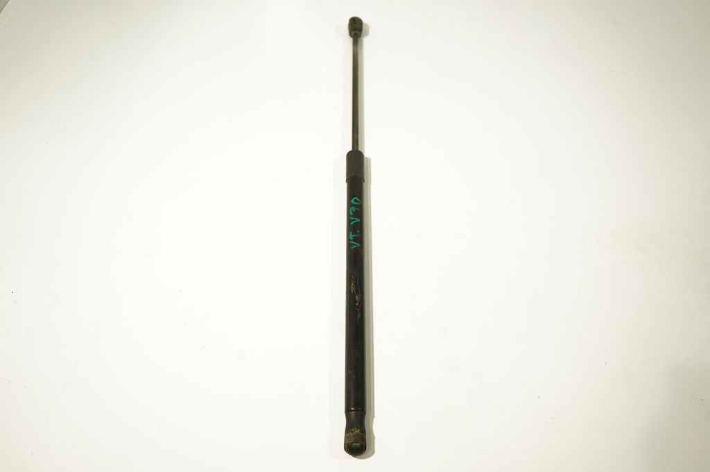 Tailgate/trunk strut/damper (2)