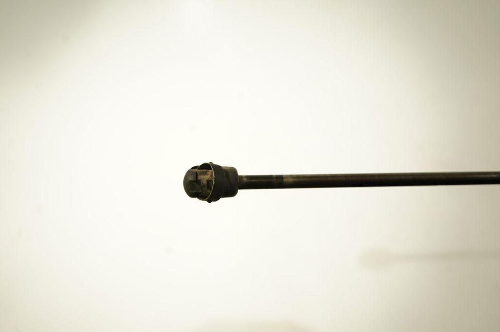 Tailgate/trunk strut/damper (7)