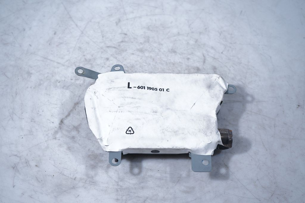 Rear door airbag (6)