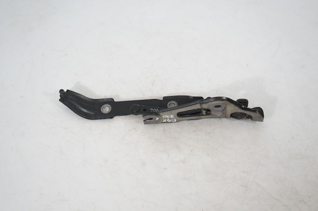 Tailgate/trunk/boot hinge