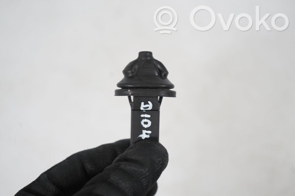 Fuel tank cap lock (6)