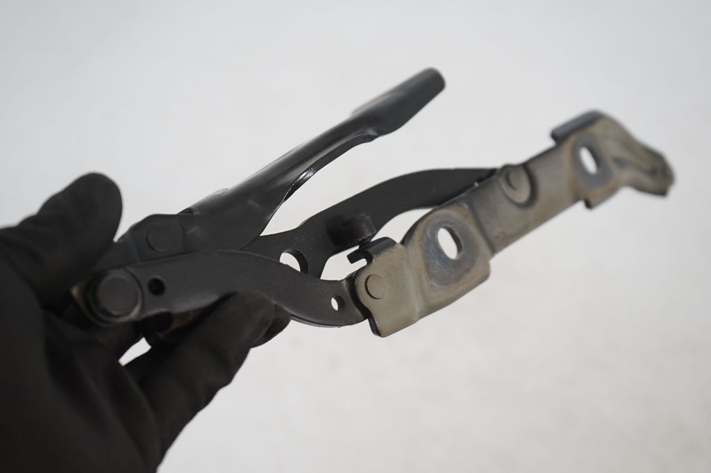 Tailgate/trunk/boot hinge (6)