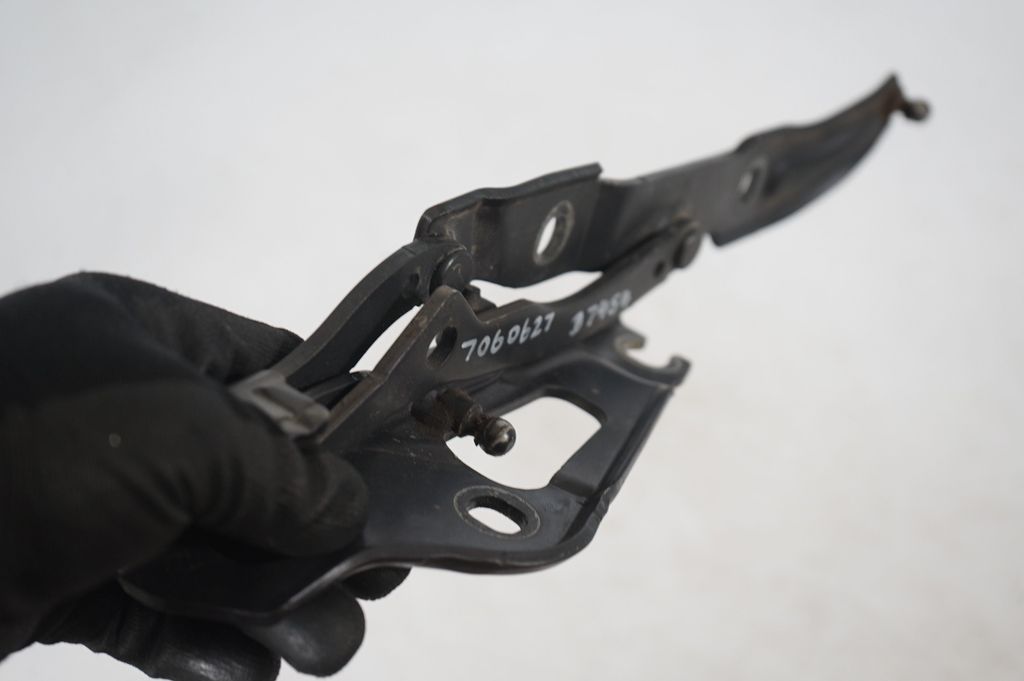 Tailgate/trunk/boot hinge (6)