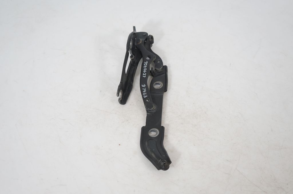 Tailgate/trunk/boot hinge (2)