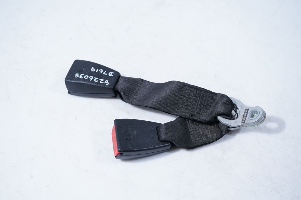 Middle seatbelt buckle (rear) (6)