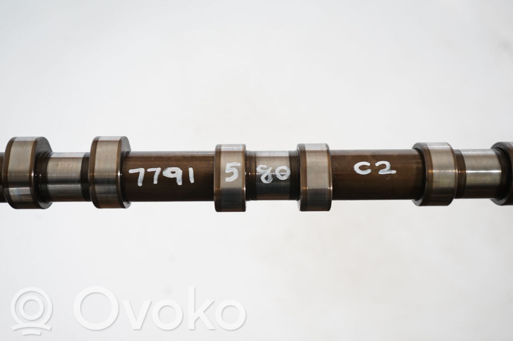 Rear differential (8)