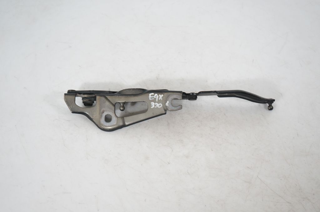 Tailgate/trunk/boot hinge (5)