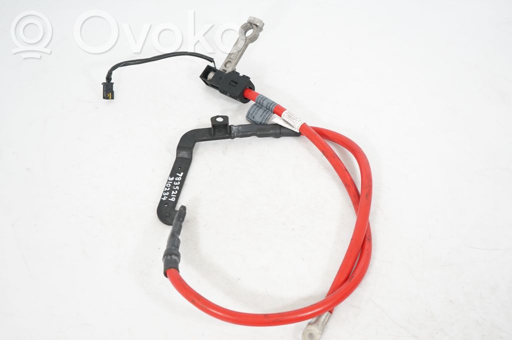 Positive cable (battery) (2)