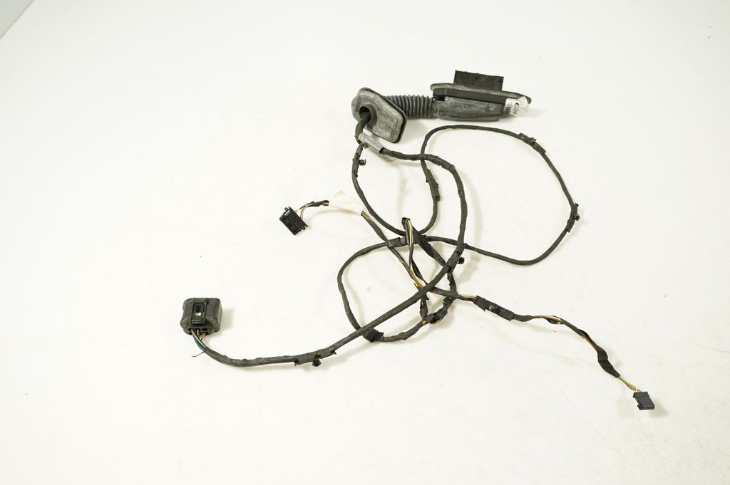 Front door wiring loom