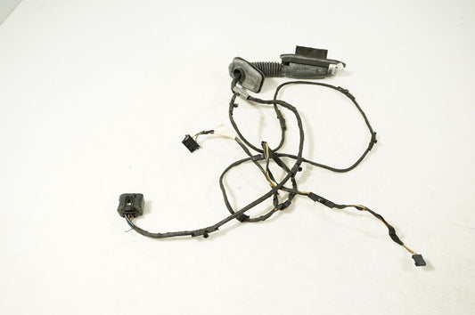 Front door wiring loom