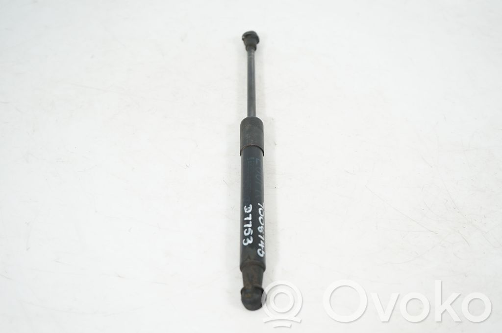 Front bonnet/hood damper/strut (2)