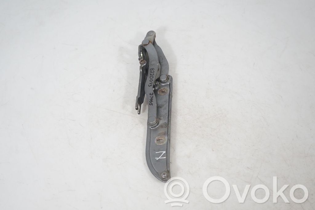 Tailgate/trunk/boot hinge (2)