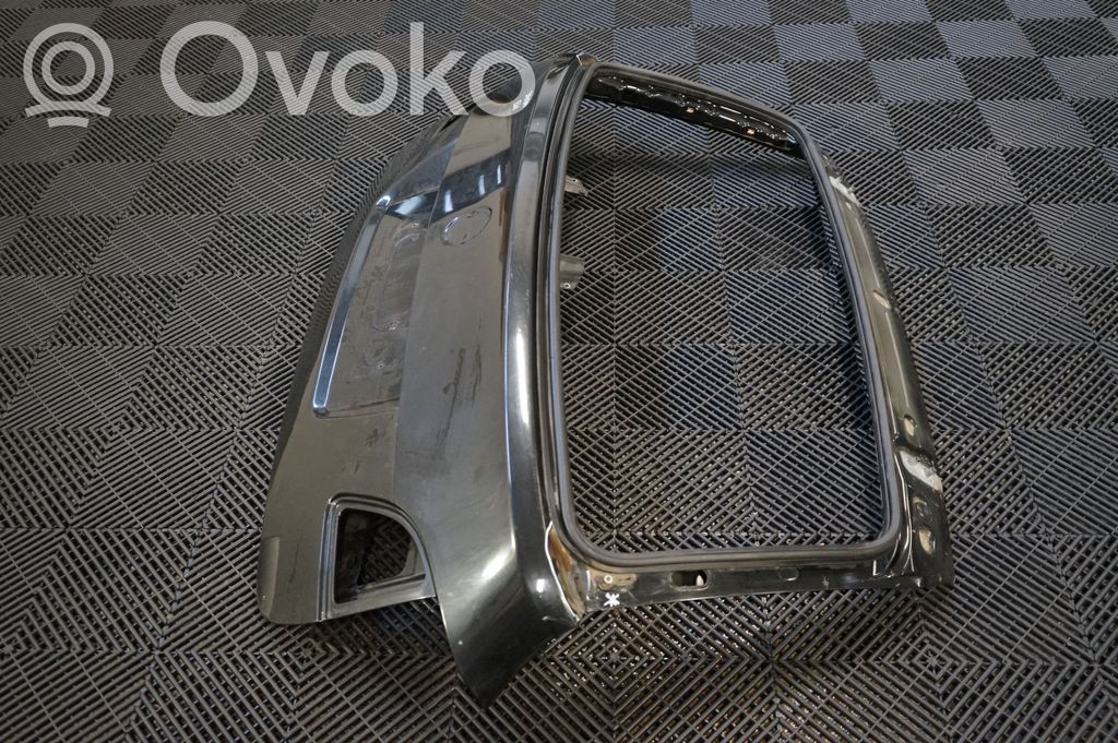 Tailgate/trunk/boot lid (2)