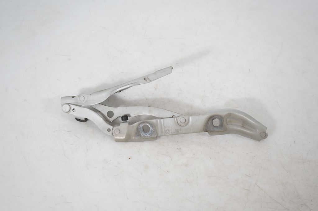Tailgate/trunk/boot hinge (6)