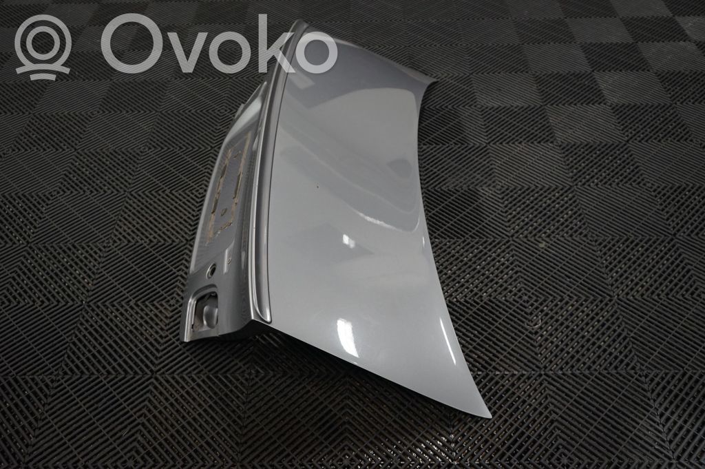 Tailgate/trunk/boot lid (2)