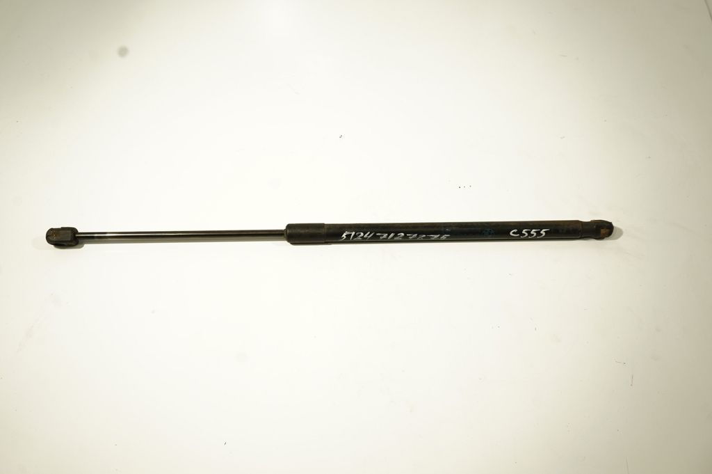 Tailgate/trunk strut/damper
