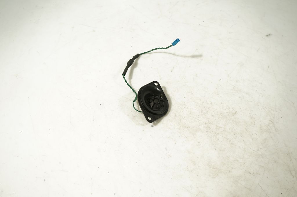 Front door speaker (4)