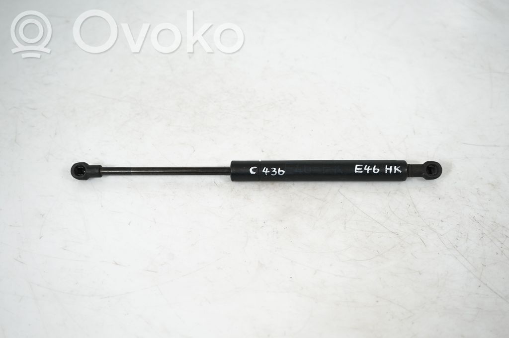 Front bonnet/hood damper/strut