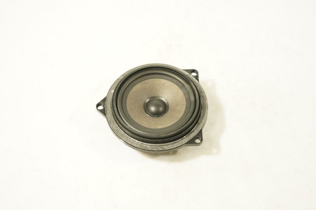 Front door speaker (2)