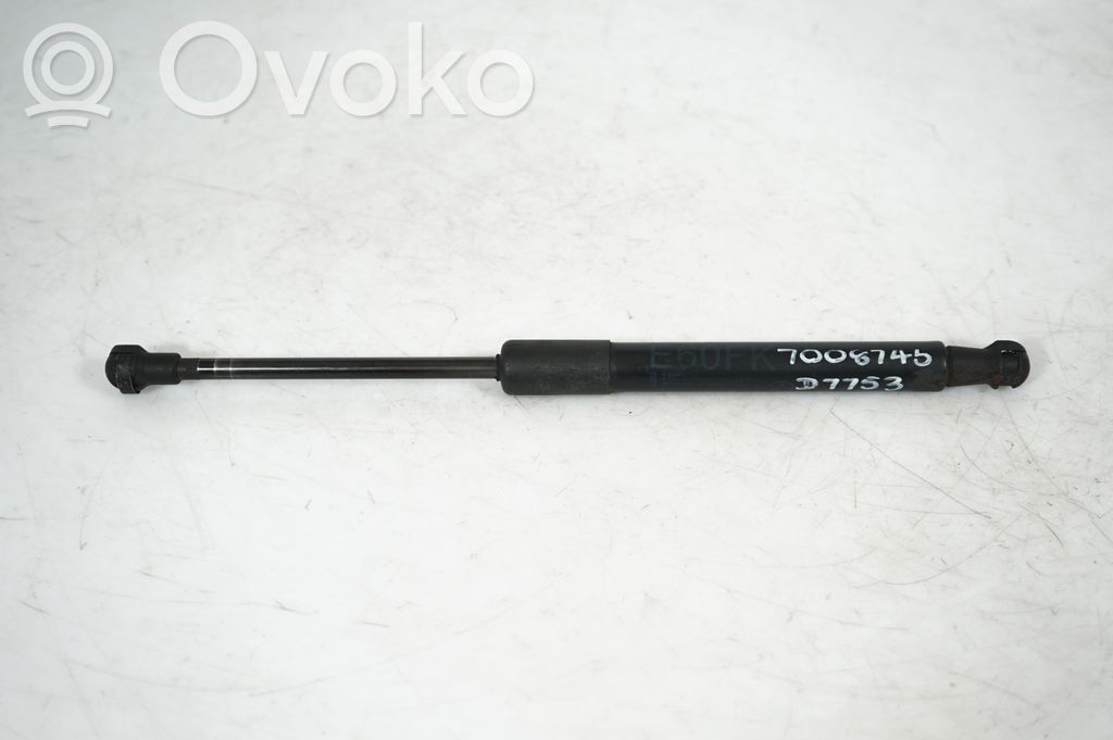 Front bonnet/hood damper/strut