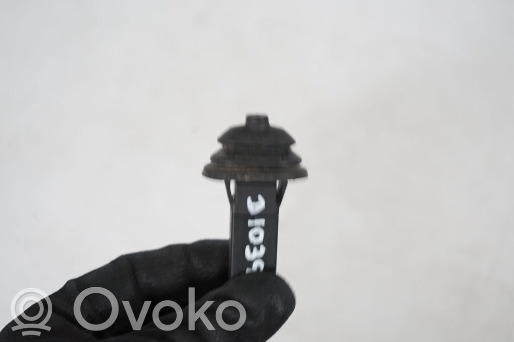 Fuel tank cap lock (7)
