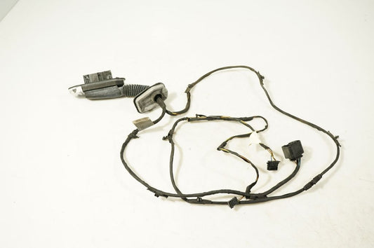 Front door wiring loom