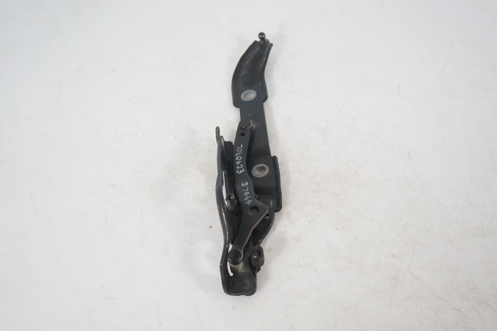 Tailgate/trunk strut/damper (2)