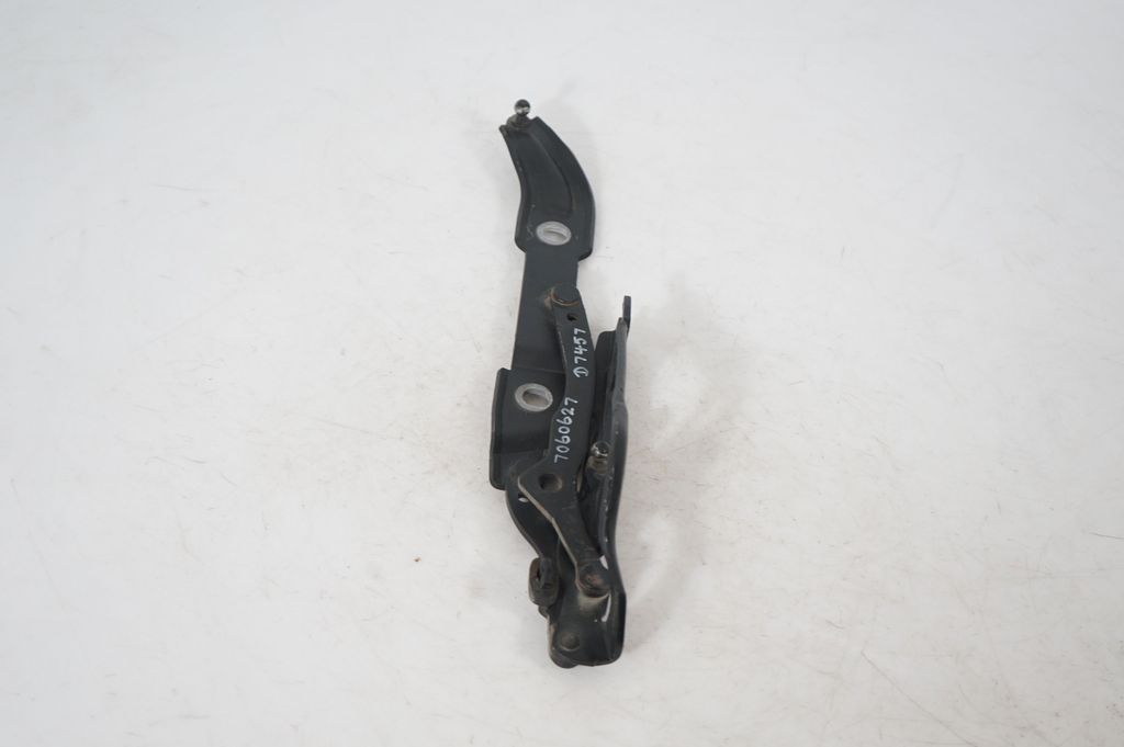 Tailgate/trunk/boot hinge (4)