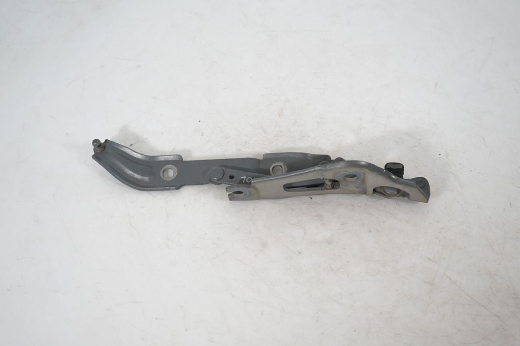 Tailgate/trunk/boot hinge