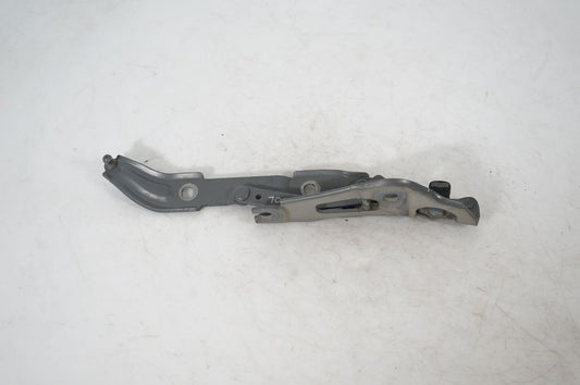 Tailgate/trunk/boot hinge