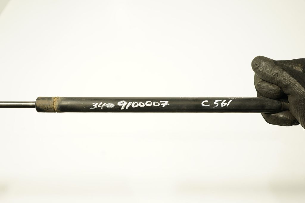 Tailgate/trunk strut/damper (8)