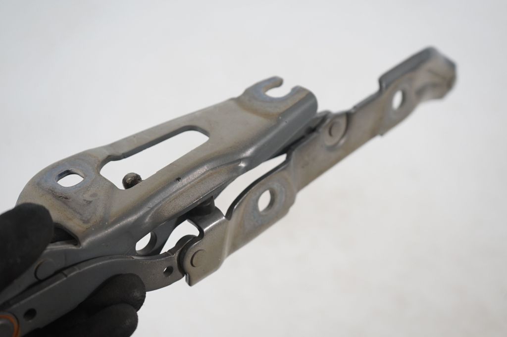 Tailgate/trunk/boot hinge (7)