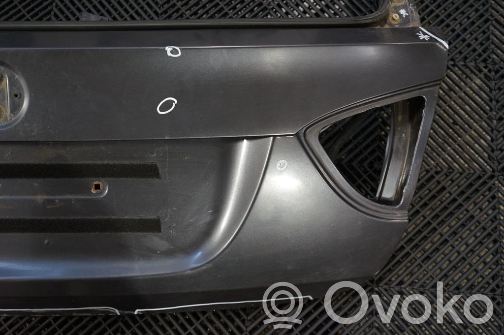 Tailgate/trunk/boot lid (11)