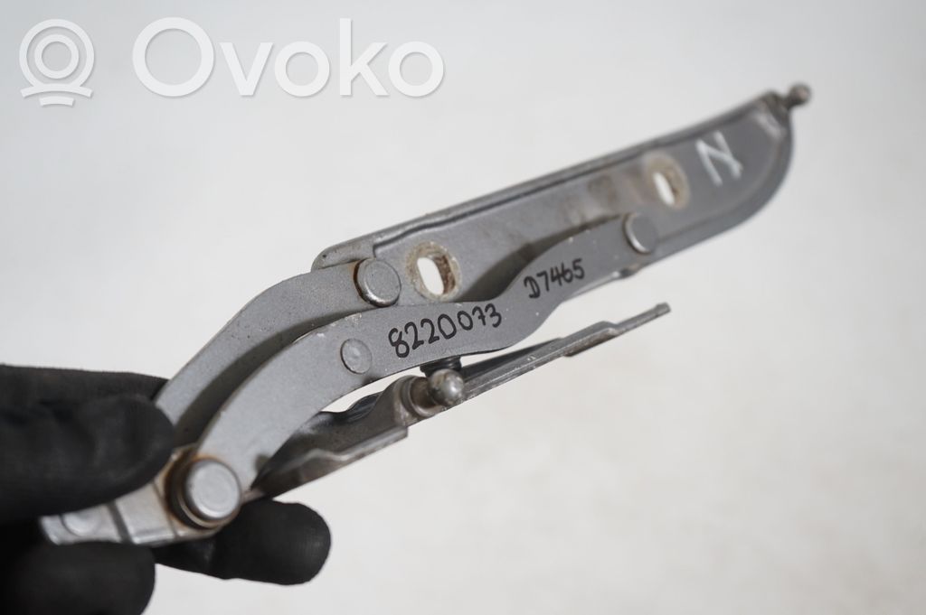 Tailgate/trunk/boot hinge (6)